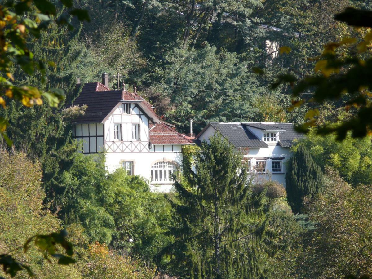 La Dependance De La Villa Des Oiseaux - La Petite Pierre Εξωτερικό φωτογραφία