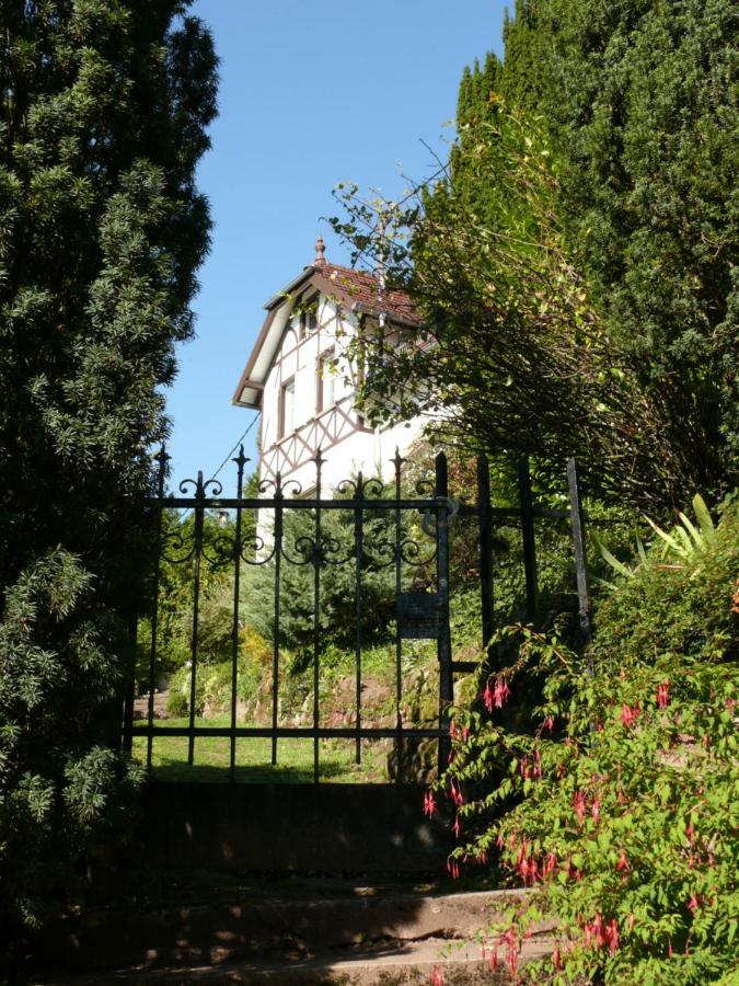 La Dependance De La Villa Des Oiseaux - La Petite Pierre Εξωτερικό φωτογραφία